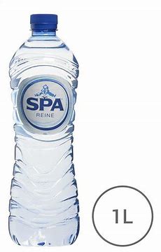 SPA REINE PET 100cl