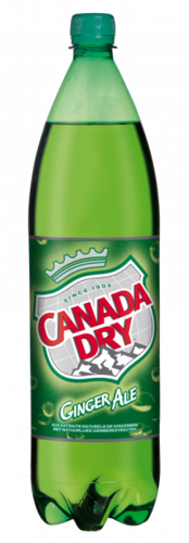 CANADA DRY PET 150cl