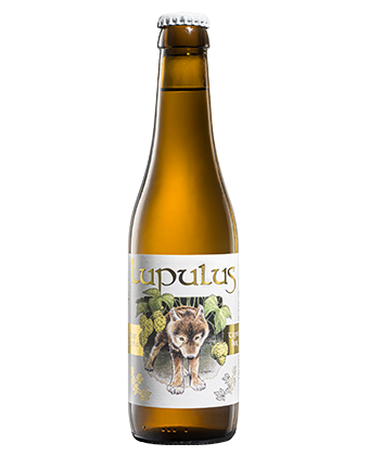 lupulus Blonde/Trip 8.5% 33cl