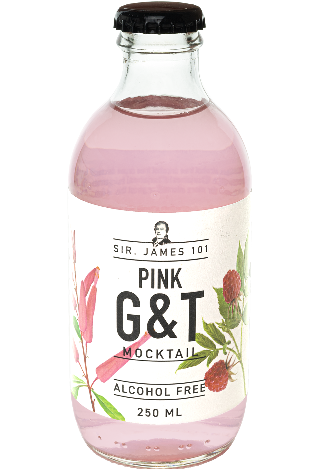 SIR JAMES 101 PINK GIN&TONIC 0% 25cl