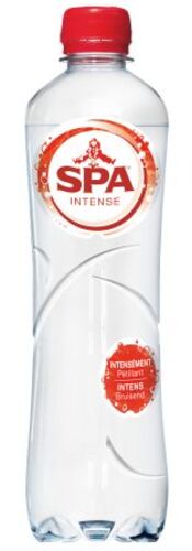 SPA INTENSE BRUIS PET 50cl Barisart