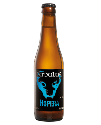 lupulus Hopera 6% 33cl